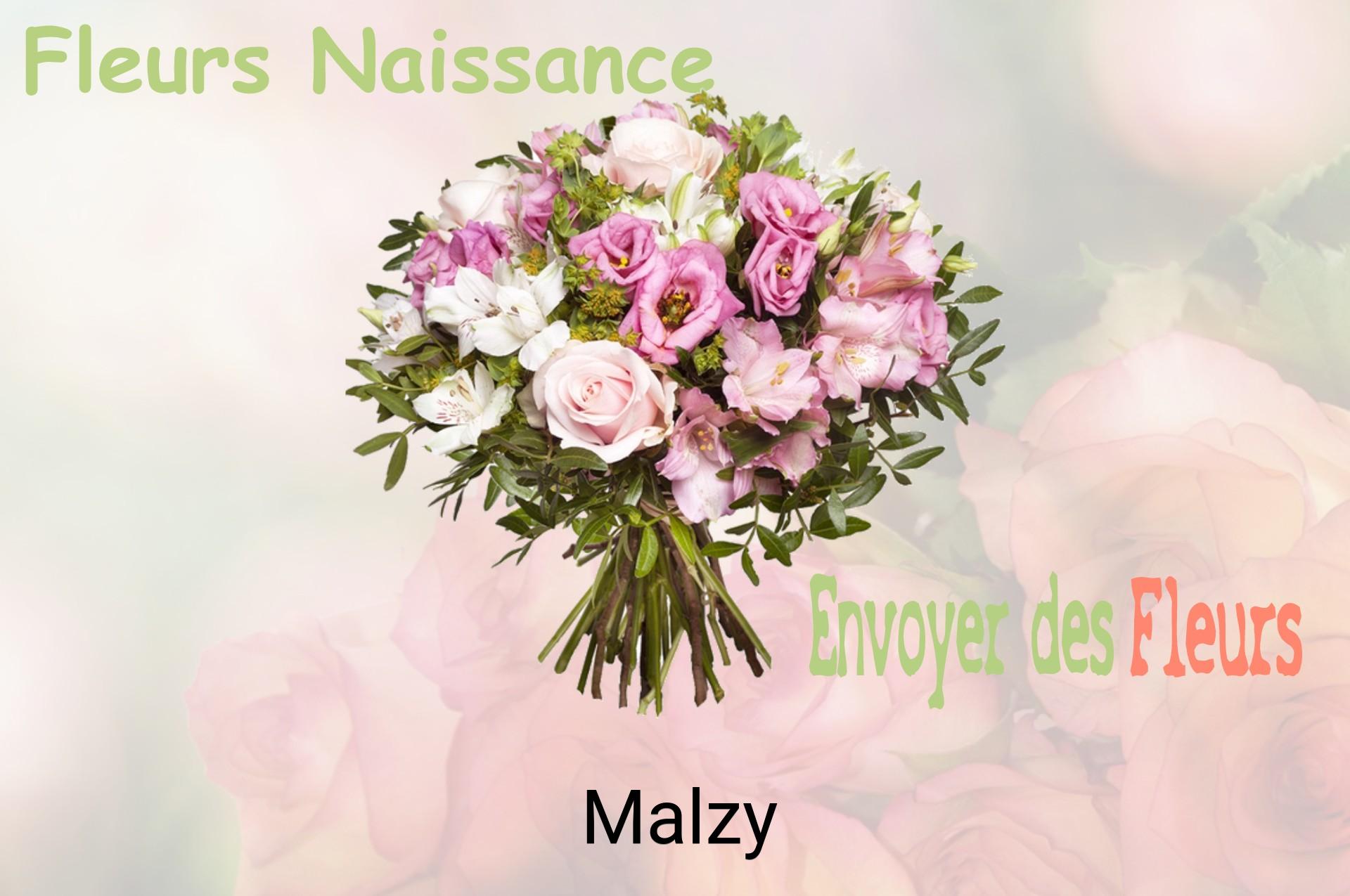 Bouquet de fleurs de naissance livré à Malzy